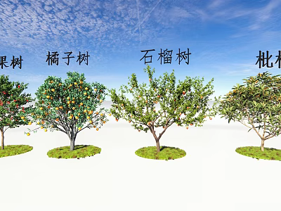 Fruit Bearing Arbor Trees Including Orange Pomegranate and Peach Varieties Under Blue Sky 3d model