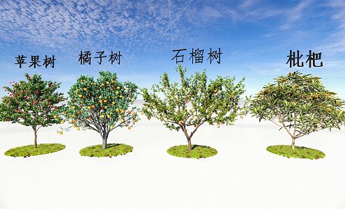 Modern Fruit Tree Apple Tree Orange Tree Loquat Tree Pomegranate Tree Landscape Tree 3d model