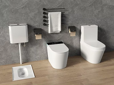 Different Types of Modern Toilets with Bathroom Accessories on Gray Wall and Wooden Floor 3d model