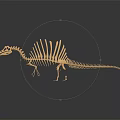 Modern Dinosaur Fossil Skeleton Animal Skeleton 3d model