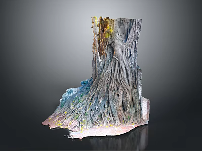 3D Organ Structure Model With Natural Hair Texture and Color Details 3d model