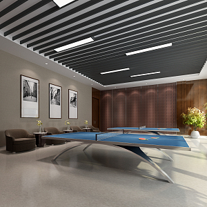 Modern table tennis room activity room 3d model