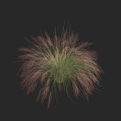 Modern pink garble grass 3d model