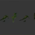 Vine Plants With Green Leaves And Red Small Fruits In Multiple Poses