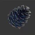 Natural Brown Pine Cone Plant Part With Intricate Scaly Texture On Gray Background