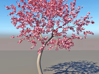 Beautiful Pink Blossom Tree With Curved Trunk Against Blue Sky and Gray Ground 3d model