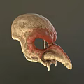 Detailed Mythical Creature Skull With Brown Red Texture Sharp Beak And Pointed Teeth
