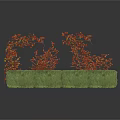 Landscaped Shrubs with Red Small Leaves on Green Grass Base Design