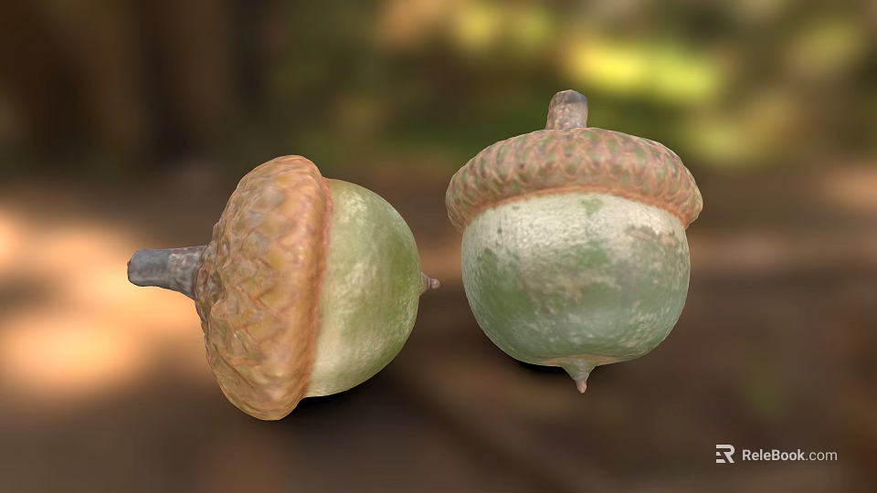 Two Green And Brown Acorns With Textured Caps In Natural Setting 3d model 