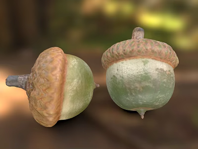 Two Green And Brown Acorns With Textured Caps In Natural Setting 3d model