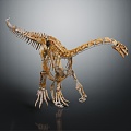 Modern skeleton dinosaur skeleton dinosaur fossil 3d model