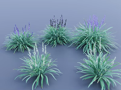 Decorative Garden Herbs With Purple And White Flowers And Green Leaves 3d model