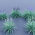 Decorative Garden Herbs With Purple And White Flowers And Green Leaves