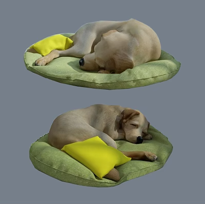 Reptile Resting On Green Cushion With Yellow Pillow And Soft Surface 3d model
