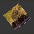 Modern Landscape Display Featuring Green Meadow Coastal Cliff And Path
