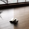 Hardwood Flooring In Room With Natural Light Plants And Book