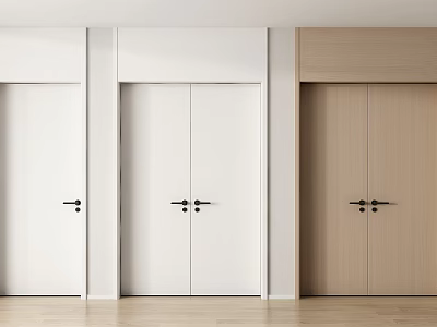 Modern Home Interior Featuring White And Light Wood Double Doors With Sleek Frames 3d model