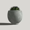 Green Spiky Succulent Plant in White Marble Patterned Ceramic Pot