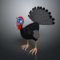 Turkey 3D Model With Blue Head Red Wattle Spread Tail Feathers And Yellow Eyes