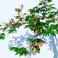 Lush Arbor With Green Leaves Orange Flowers And Thick Trunk