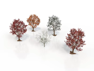 Five Seasonal Trees with Red Orange White Foliage and Various Forms 3d model