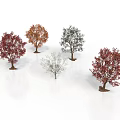 Five Seasonal Trees with Red Orange White Foliage and Various Forms
