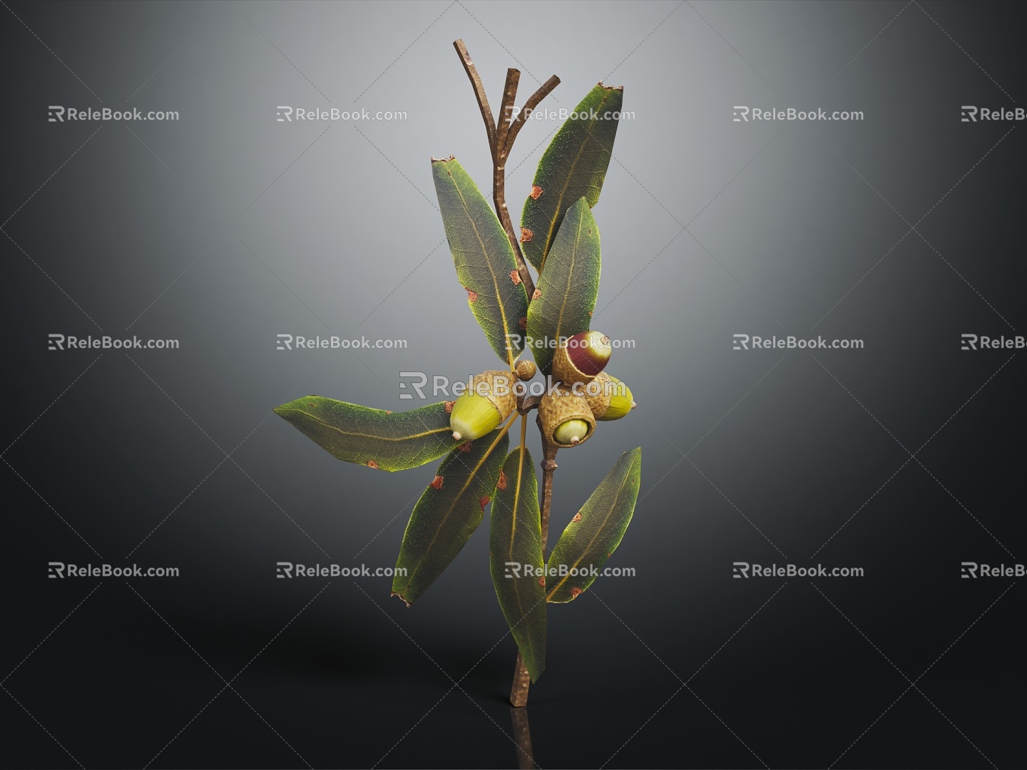 Modern Hazelnut Hazelnut Tree Nuts 3d model