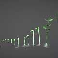 Stages Of Plant Growth Showing Seed Seedling Green Stems Leaves And Purple Flowers