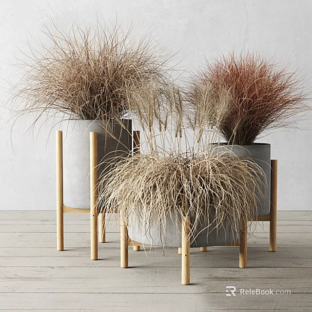 Bonsai Potted Plants On Wooden Stands With Colorful Grass Light Walls And Wooden Floor 3d model 