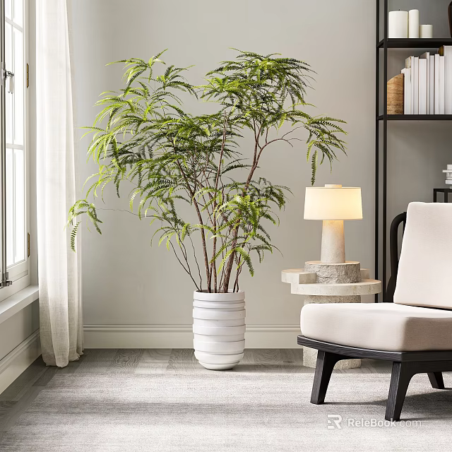 Large Indoor Potted Plant in White Textured Planter with Chair Lamp and Bookshelf 3d model 