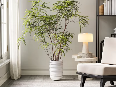 Large Indoor Potted Plant in White Textured Planter with Chair Lamp and Bookshelf 3d model