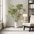 Large Indoor Potted Plant in White Textured Planter with Chair Lamp and Bookshelf