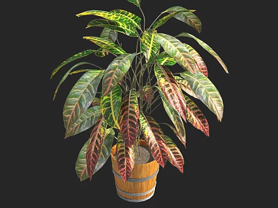 Bonsai Potted Plant with Colorful Variegated Green Red Yellow Leaves in Rustic Wooden Barrel Planter 3d model