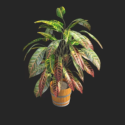 Bonsai Potted Plant with Colorful Variegated Green Red Yellow Leaves in Rustic Wooden Barrel Planter 3d model