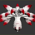 Mythical Nine Tailed Fox Creature With White Red Fluffy Tails And Red Patterns