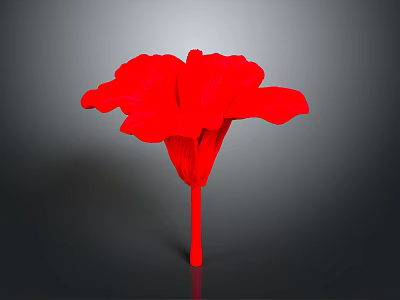Vibrant Red Flower with Detailed Petals and Long Stem on Dark Background 3d model