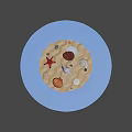 Natural Beach Sand Scene With Colorful Starfish Various Seashells And Stones