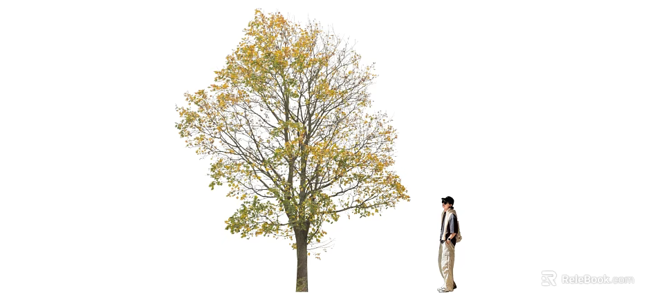 Tall Arbor With Yellow And Green Leaves And A Pedestrian Standing Beside 3d model 