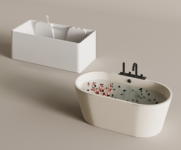 Bathtub 3d model