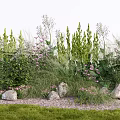 Natural Lush Garden With Green Plants Pink Flowers Tall Herbs Stones And Grass