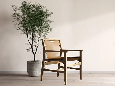 Stylish Leisure Chair With Wooden Frame Leather Seat And Green Plant In Concrete Planter 3d model