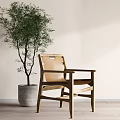 Stylish Leisure Chair With Wooden Frame Leather Seat And Green Plant In Concrete Planter