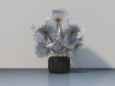 Bonsai Plant With Silver Feathery Leaves In Black Carved Pot For Modern Indoor Decor 3d model