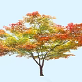 Autumn Arbor With Colorful Red Yellow Green Leaves In Natural Setting