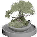 Bonsai Tree With Curved Trunk Lush Green Foliage And Round Waterfall Base