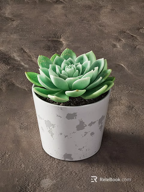 Green Leaf Succulent Potted Plant In White Pot With Gray Spots On Brown Surface 3d model 