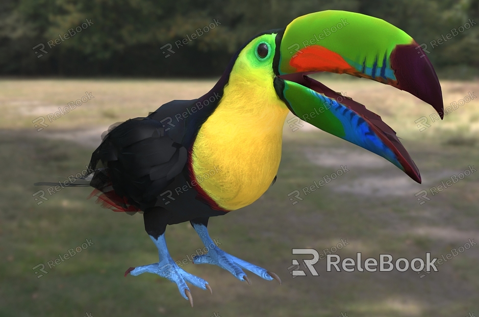 Rainbow toucan Thick-billed toucan named subspecies Rainbow-billed toucan Rainbow and Bird Animal Creatures model