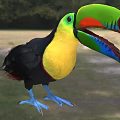 Rainbow toucan Thick-billed toucan named subspecies Rainbow-billed toucan Rainbow and Bird Animal Creatures 3d model