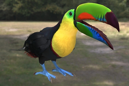 Rainbow toucan Thick-billed toucan named subspecies Rainbow-billed toucan Rainbow and Bird Animal Creatures 3d model