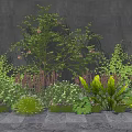 Lush Green Plants And Flowering Vines Against Gray Wall With Stone Floor